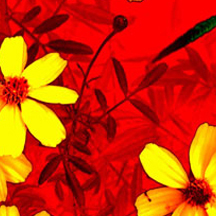 卡密交易商城的怎么简单攻击一个网站