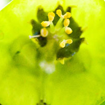 限时促销的黑客软件攻击器手机版